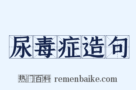 尿毒症造句是什么意思的图片